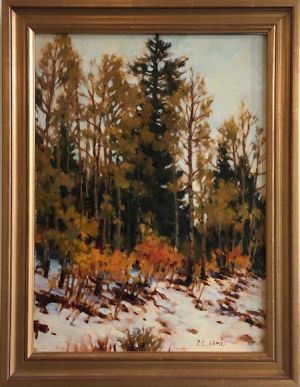Pines Among the Aspens Phyllis Horne, Pines Among the Aspens, 16x12 oil, 19x15 w fr